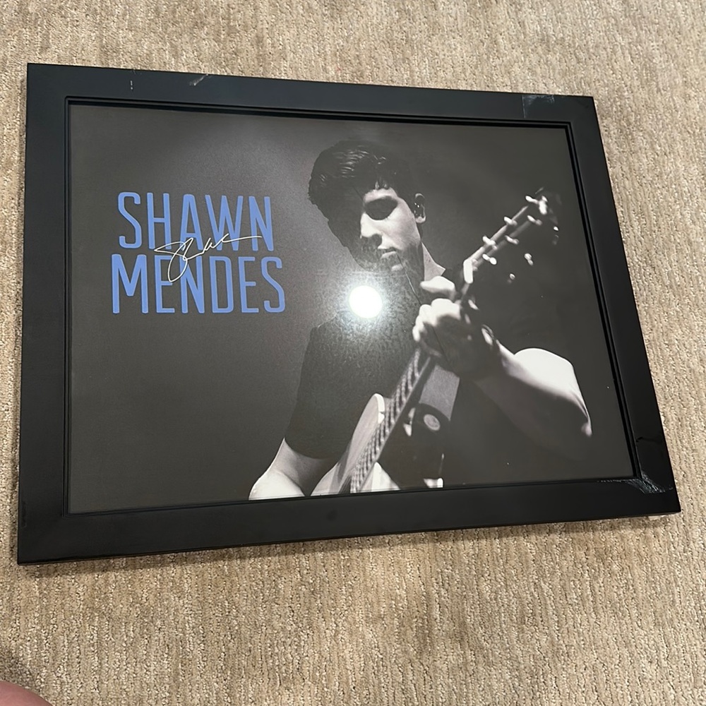 Shawn Mendes Signed Poster